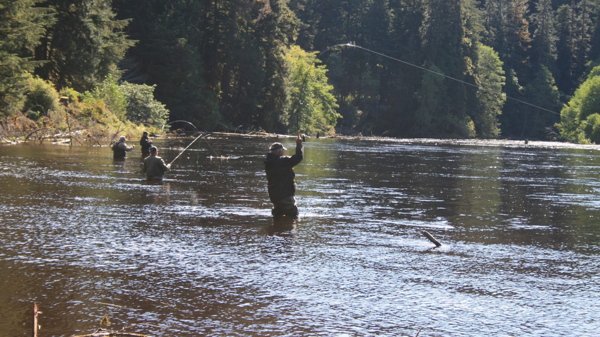 GUIDED FRESHWATER FISHING TRIPS Whaler's Cove Lodge