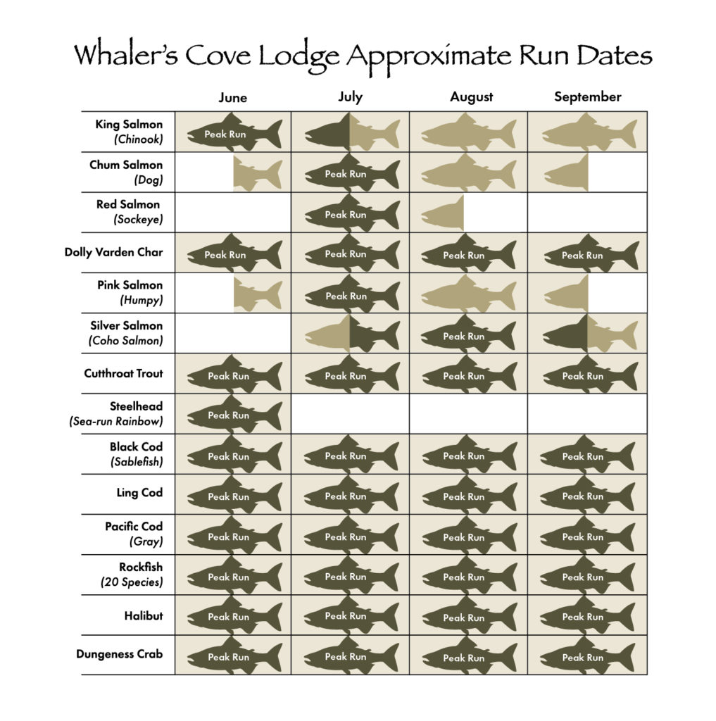 Species Available Run Chart | Whaler's Cove Lodge Alaska